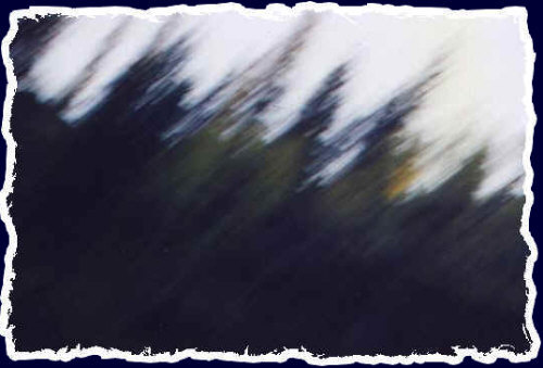 A photographic accident that turned out kinda cool