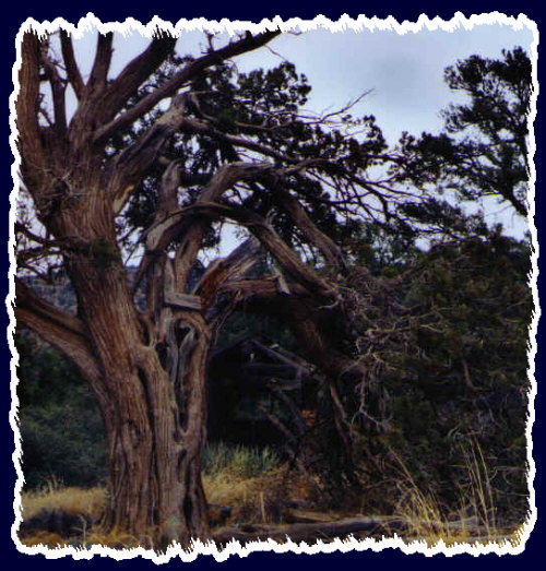 A picturesque scene of a remote area of Sedona Arizona near Dylan's pad
