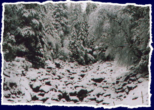 This is my favorite scene along the road to Flagstaff
