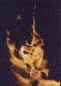 The fire from a campfire in Northern Arizona