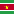 Official flag of the country of Suriname