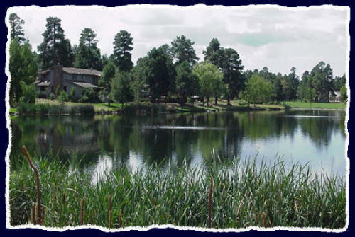 A small pond near a friend's summer home in Flagstaff, AZ