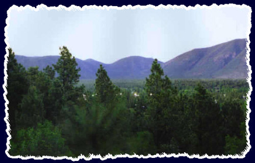 A night shot (notice the lights in the middle) of the Flagstaff area from a Fred's pad