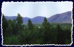 This is mid-Flagstaff looking toward the mountains (North) from a friend's pad.