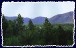 This is mid-Flagstaff looking toward the mountains (North) from a friend's pad.