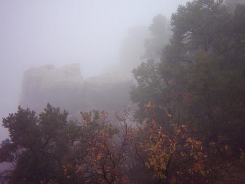 "Foggy Rocks"