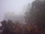 "Foggy Rocks"