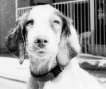 The late, great, Hunter Gabrielsen - May he rest in peace