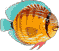 LangToLang.com