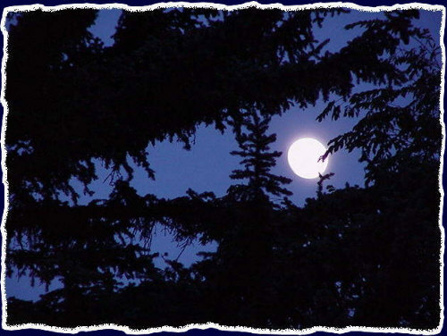 A killer shot of the full moon over Northern Arizona University - July 2000