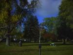 A difficult online puzzle for you to complete right now titled "Wheeler Park"