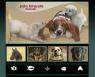 Pet Portraits, aviation and automobile art